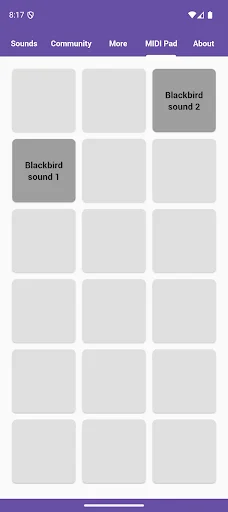 I-download ang Blackbird Sounds – Nature Melodies Libreng App - Screenshot 5