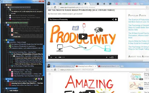 Tabs Outliner: Pamahalaan ang Iyong Browser Tabs nang Madali - Screenshot 1
