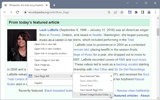 I-download ang Save Page WE para sa Offline na Pagbabasa - Screenshot 3